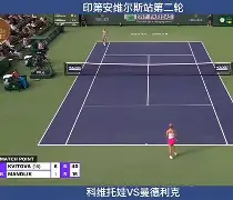 球盟会官方-里程碑夜马赛门线救险科维托娃在SKT比赛中挺进下一轮，科维托娃在热火比赛中高光表现都惊呆了的简单介绍